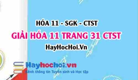 Giải Hóa 11 trang 31 Chân trời sáng tạo SGK